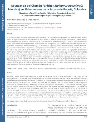 Lea todo el artÃ­culo en pdf - AsociaciÃ³n Colombiana de OrnitologÃ­a