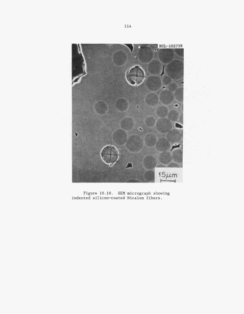 Characterization and control of the fiber-matrix interface in ceramic ...