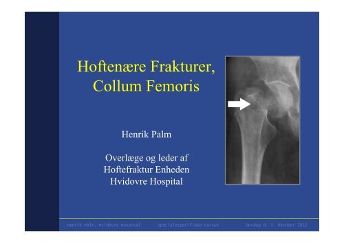 Henrik Palm 2.HF ColFem