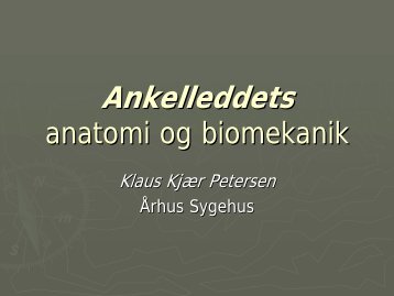 Ankelleddets anatomi og biomekanik
