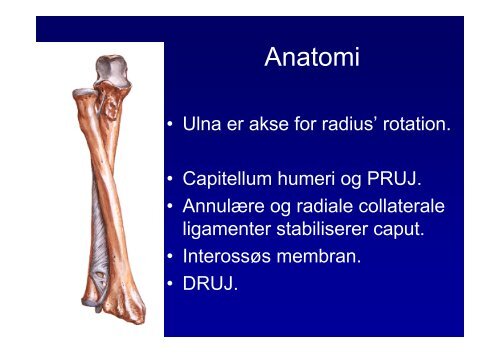 Antebrachium frakturer