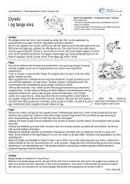 4-Dyreliv i og langs elva 131107 - Oslo Elveforum