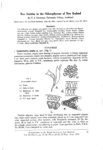 Download PDF - Algaebase