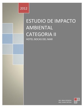 ESTUDIO AMBIENTAL CATEGORIA II