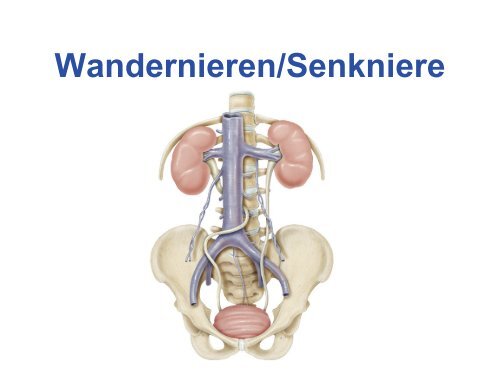 Behandlung - Evangelisches Krankenhaus Witten