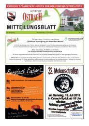 Mitteilungsblatt Woche 28 - Ostrach