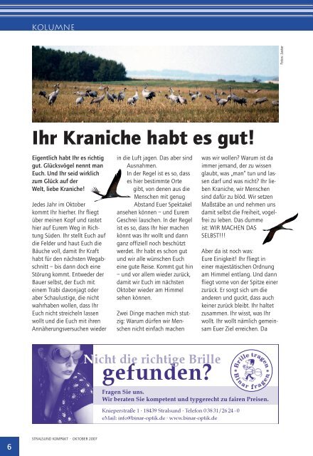 Ihr Kraniche habt es gut.pdf - Ostseereporter - Marius Jaster