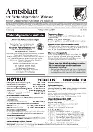 Amtsblatt - Verbandsgemeinde Waldsee