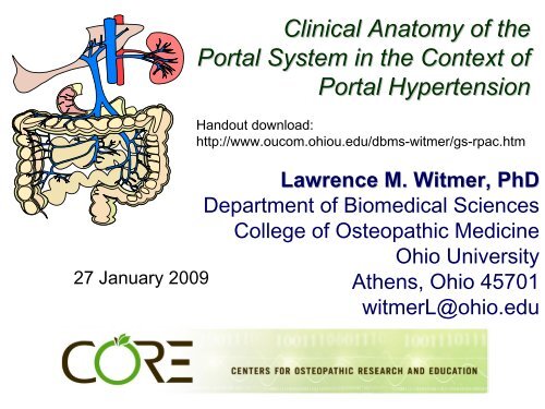 Clinical anatomy in the context of portal hypertension.