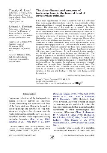 The three-dimensional structure of trabecular bone ... - ResearchGate