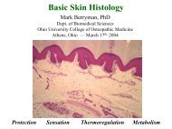Basic skin histology. - Ohio University College of Osteopathic Medicine