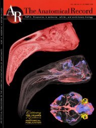 Cephalic vascular anatomy in flamingos - Ohio University College of ...