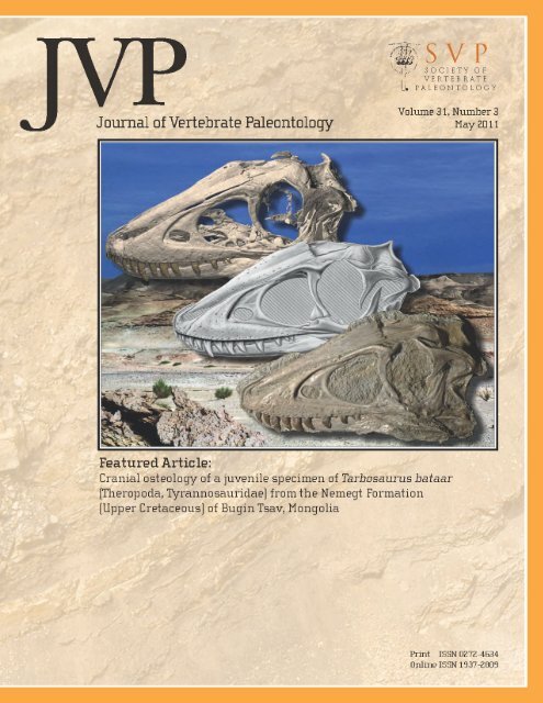 Cranial osteology of a juvenile specimen of Tarbosaurus bataar from ...