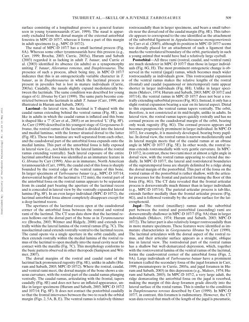 Cranial osteology of a juvenile specimen of Tarbosaurus bataar from ...