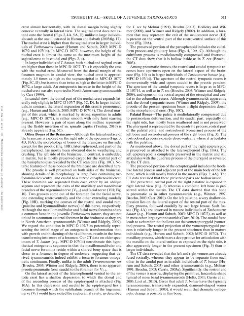 Cranial osteology of a juvenile specimen of Tarbosaurus bataar from ...