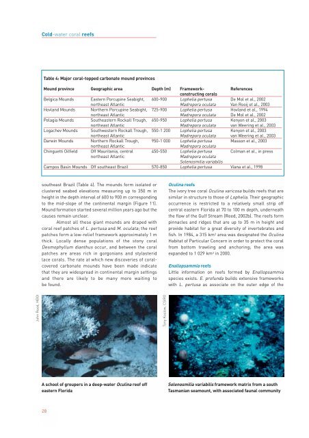 Cold-water coral reefs - WWF UK