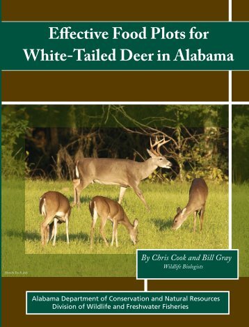 Effective Food Plots for White-Tailed Deer in Alabama - UF/IFAS ...