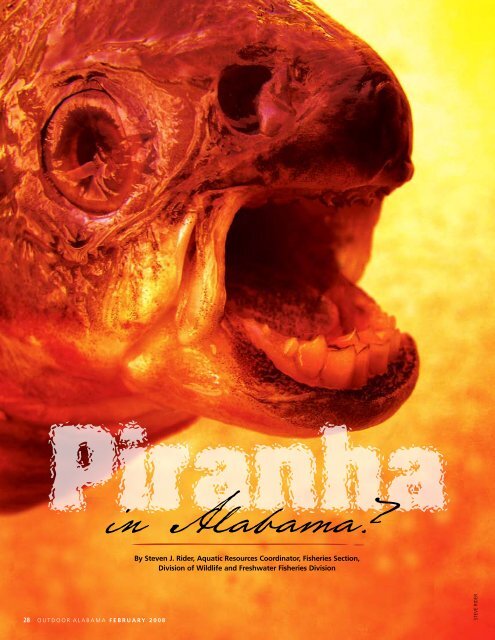 Piranha in Alabama? - Alabama Department of Conservation and ...