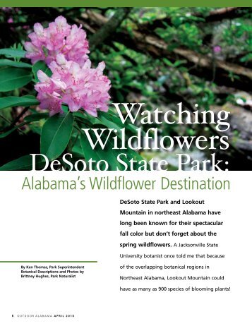 DeSoto State Park: - Alabama Department of Conservation and ...