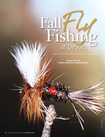 Fall Fly Fishing at Desoto