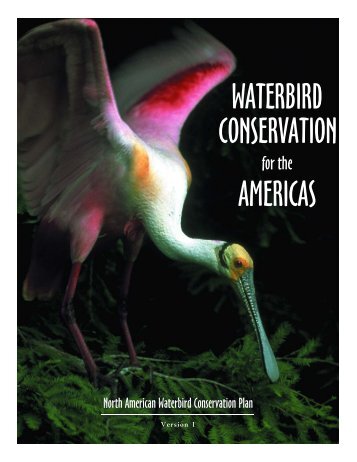 Waterbird Conservation for the Americas - Lower Mississippi Valley ...