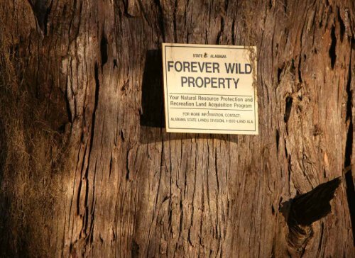 The Forever Wild Land Trust - Alabama Department of Conservation ...