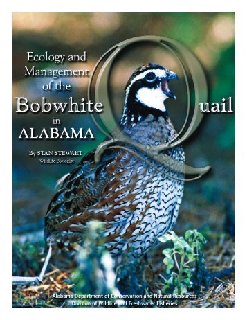 Ecology and Management of the Bobwhite Quail in Alabama
