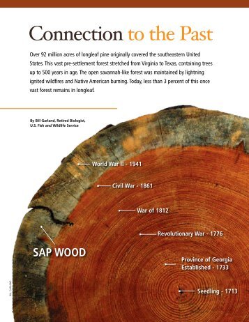 connection to the Past - Alabama Department of Conservation and ...