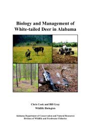 Biology And Management Of White-tailed Deer In Alabama