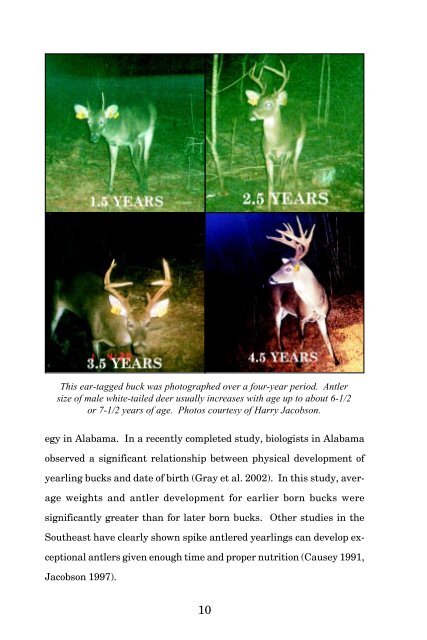 Biology And Management Of White-tailed Deer In Alabama