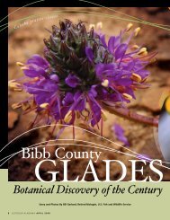 Bibb County Glades - Alabama Department of Conservation and ...