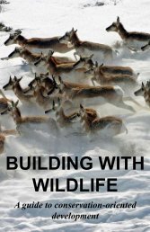 Building With Wildlife: A guide to conservation-oriented development