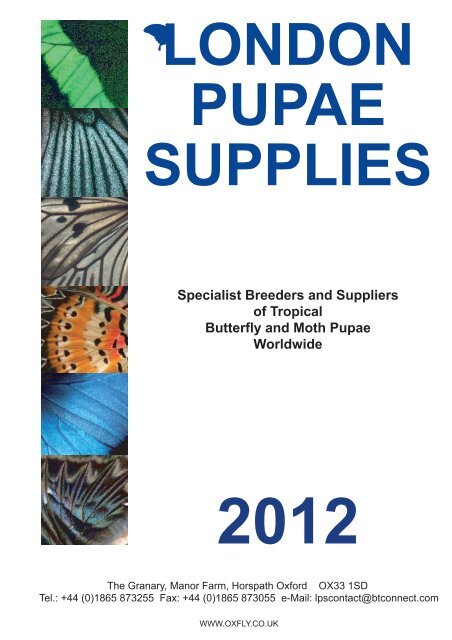 Cover 2012 FINAL.ai - London Pupae Supplies