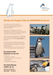 infoblatt pinguin-pate_050712.indd - Ozeaneum
