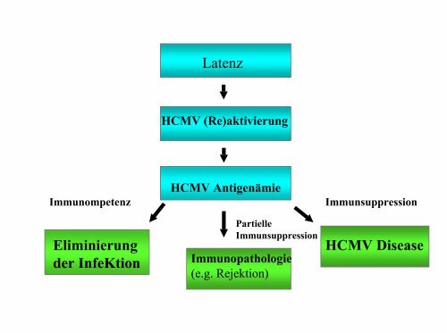 CMV Pneumonie nach Transplantation: Aktuelle Prophylaxe und ...