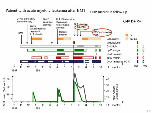 CMV Pneumonie nach Transplantation: Aktuelle Prophylaxe und ...