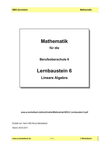 Matheskript-BOS-2 Lernbaustein 6 - von P. Merkelbach