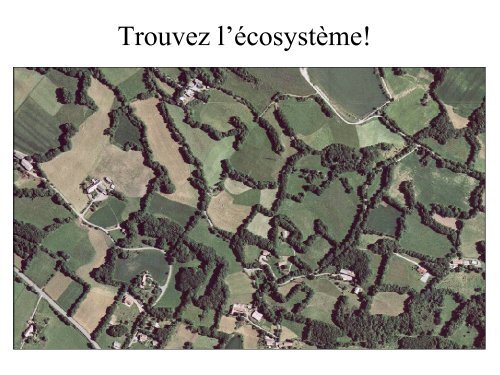 Ecologie du paysage, Fragmentation, Corridorsâ¦