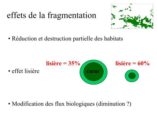 Ecologie du paysage, Fragmentation, Corridorsâ¦