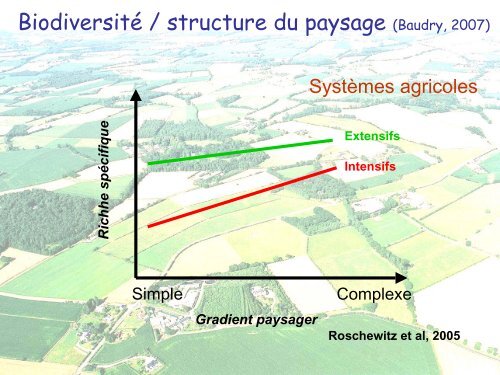 Ecologie du paysage, Fragmentation, Corridorsâ¦