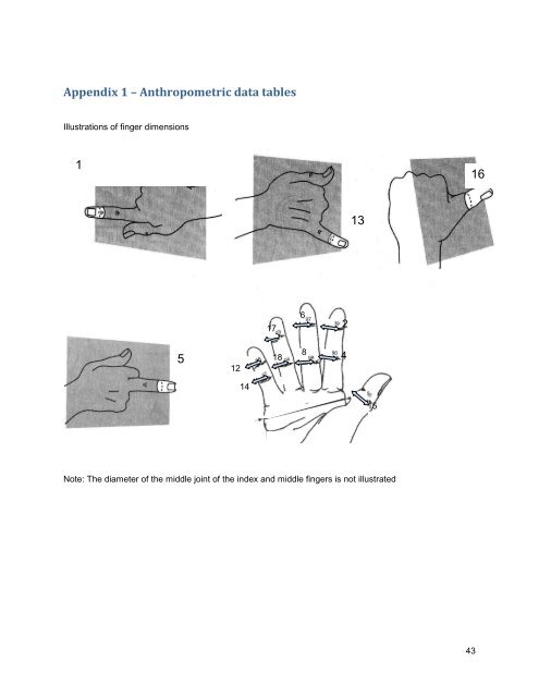 Requirements for finger entrapment in European safety ... - ANEC