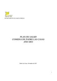 pasam 2013 - Municipalidad de Padre Las Casas