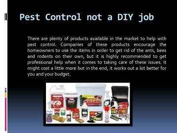 Pest Control not a DIY job