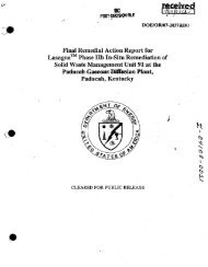 Final Remedial Action Report for Lasagna™ Phase lIb In-Situ ...