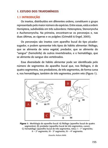 1. ESTUDO DOS TRIATOMÍNEOS 1.1 INTRODUÇÃO - PAHO/WHO