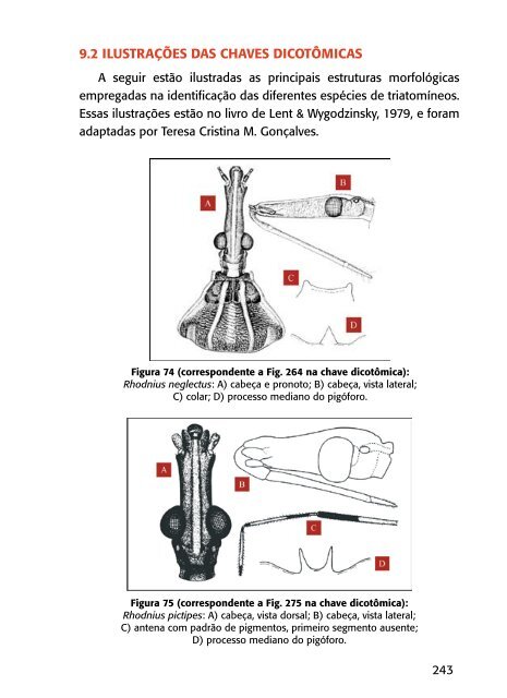 1. ESTUDO DOS TRIATOMÍNEOS 1.1 INTRODUÇÃO - PAHO/WHO