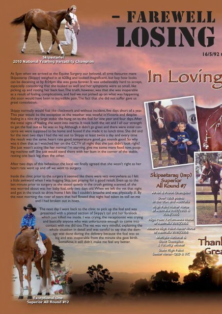 PaintHorseJournal-2010-December V2:Layout 1