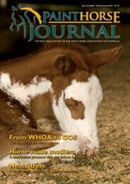 PaintHorseJournal-2009-Dec:Layout 1 - Paint Horse Association of ...