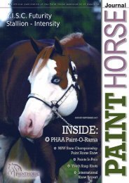 YISC Futurity Stallion - Intensity - Paint Horse Association of Australia