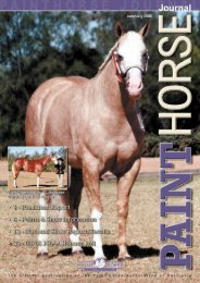 2006 national show - Paint Horse Association of Australia